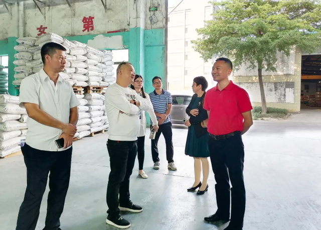 广东萝卜视频在线播放